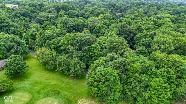 10808 Greenbriar Dr, Fishers, IN 46037 - drone / aerial view