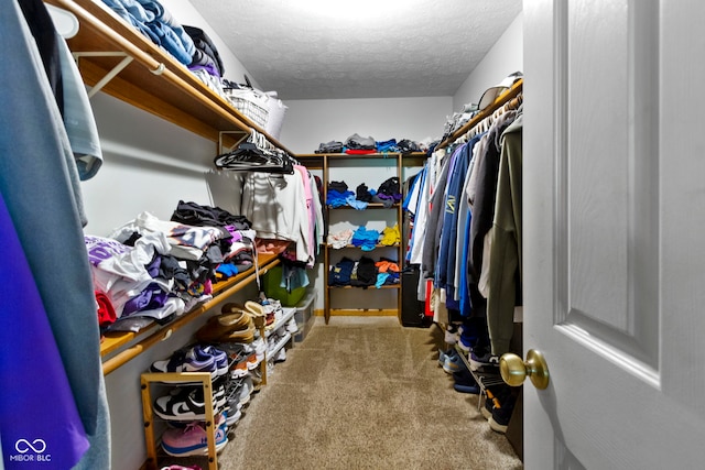 10808 Greenbriar Dr, Fishers, IN 46037 - walk in closet with carpet floors