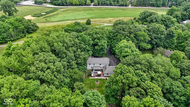 10808 Greenbriar Dr, Fishers, IN 46037 - bird's eye view of a golf course and a tree filled landscape