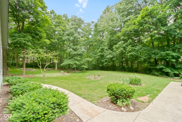 10808 Greenbriar Dr, Fishers, IN 46037 - view of green lawn