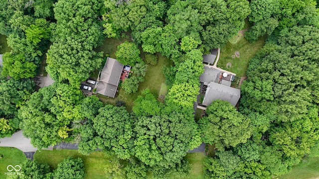10808 Greenbriar Dr, Fishers, IN 46037 - aerial view of property's location