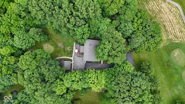 10808 Greenbriar Dr, Fishers, IN 46037 - aerial view of property and surrounding area