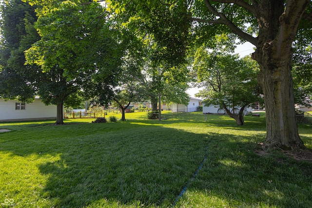 5609 Meadowood Dr, Indianapolis, IN 46224 - view of yard