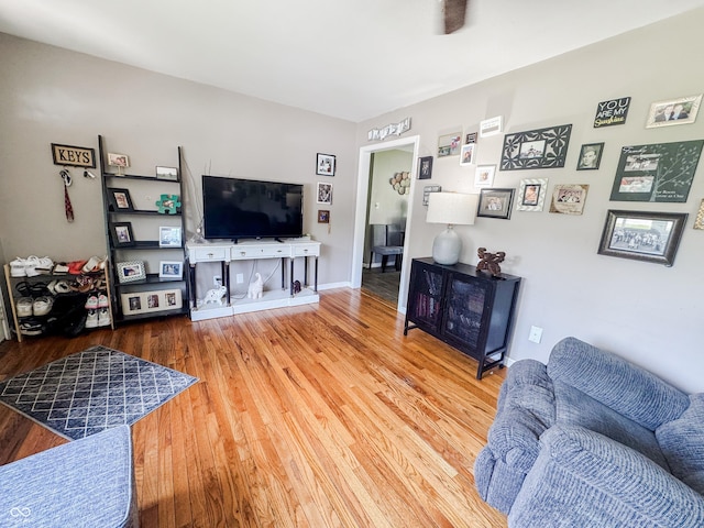 3613 N Locust St, Muncie, IN 47304 - living room with wood finished floors and baseboards
