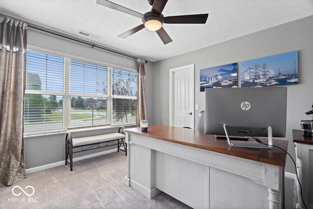 4420 Wild Turkey Dr, Indianapolis, IN 46239 - office space with a ceiling fan, a textured ceiling, and light colored carpet
