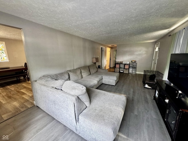306 Waynetown Rd, Crawfordsville, IN 47933 - living area featuring wood finished floors and a textured ceiling