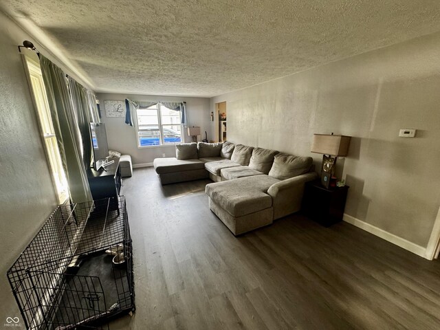 306 Waynetown Rd, Crawfordsville, IN 47933 - living area with a textured ceiling, dark wood-type flooring, and a textured wall