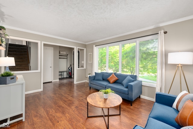 1031 Lancashire Ln, Pendleton, IN 46064 - living area featuring a textured ceiling, wood finished floors, and ornamental molding