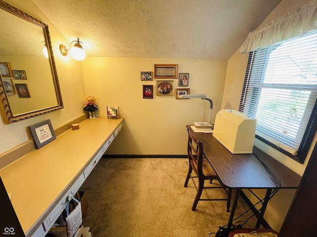 1008 Whispering Trl, Greenfield, IN 46140 - carpeted office featuring a textured ceiling and lofted ceiling