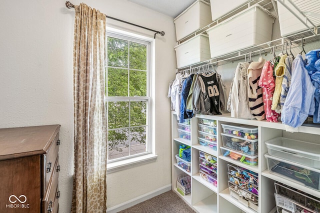 12259 Sweet Creek Trl, Fishers, IN 46037 - view of closet