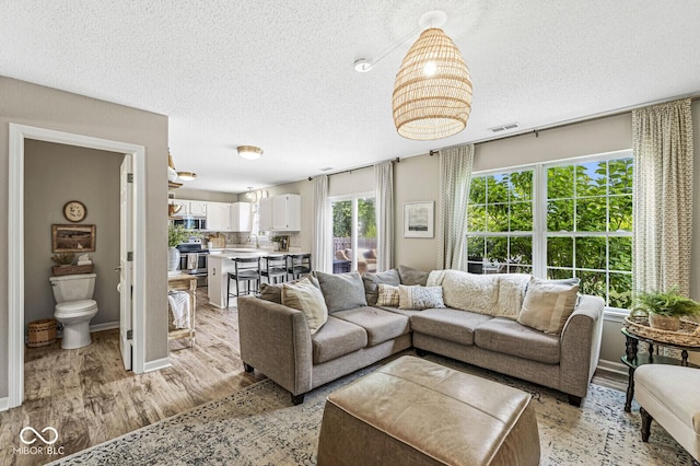12259 Sweet Creek Trl, Fishers, IN 46037 - living room featuring a textured ceiling and light wood finished floors