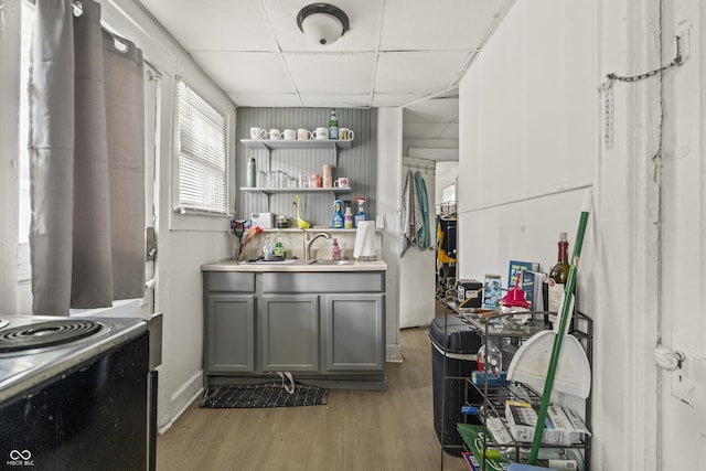 1849 E Minnesota St, Indianapolis, IN 46203 - kitchen featuring a paneled ceiling, gray cabinetry, light wood-style flooring, range with electric cooktop, and open shelves