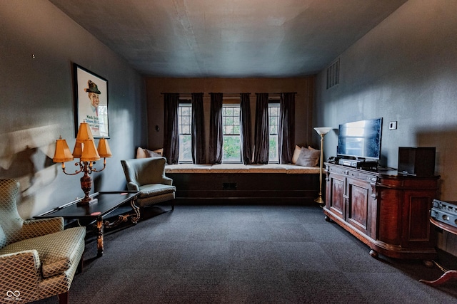 825 E Washington St, Muncie, IN 47305 - living area with dark colored carpet