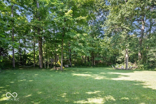 6975 Milhouse Rd, Indianapolis, IN 46221 - view of grassy yard