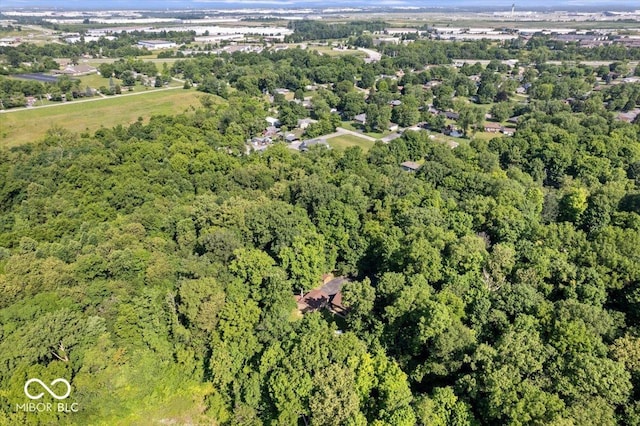 6975 Milhouse Rd, Indianapolis, IN 46221 - view of property location with a heavily wooded area