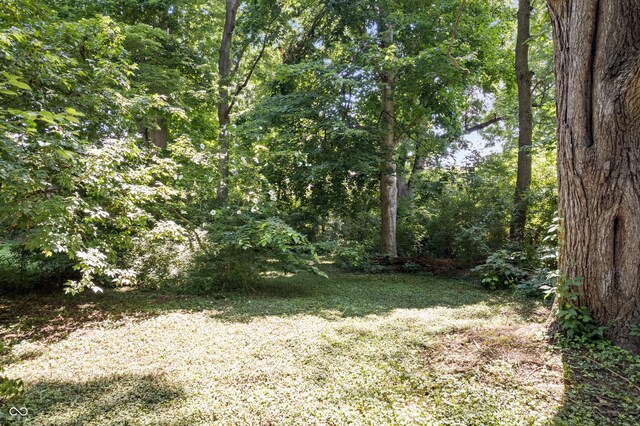 5109 Carvel Ave, Indianapolis, IN 46205 - photo 27