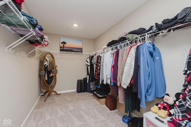 11840 Crossbill Ct, Noblesville, IN 46060 - walk in closet with carpet floors