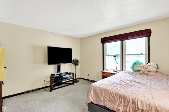 1000 Leisure Ln, Greenwood, IN 46142 - photo 61