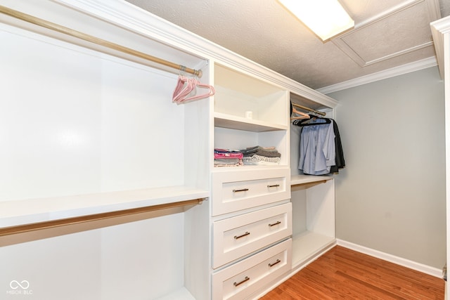 14109 Secretariat Ct, Carmel, IN 46074 - walk in closet featuring light wood-style floors