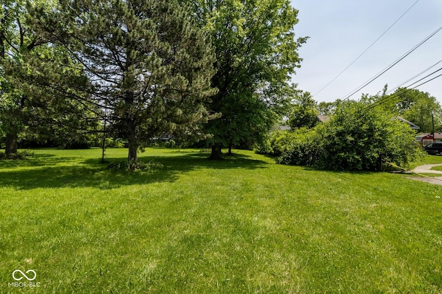 3731 Wellington Ave, Indianapolis, IN 46226 - photo 4