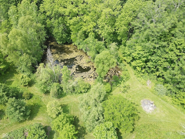 2825 E 216th St, Cicero, IN 46034 - aerial view