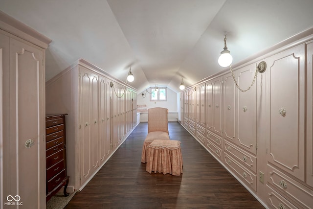 9420 N Kenwood Ave, Indianapolis, IN 46260 - corridor featuring vaulted ceiling and dark wood-style flooring