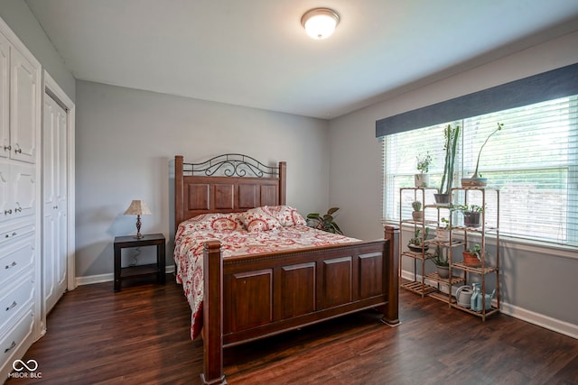 9420 N Kenwood Ave, Indianapolis, IN 46260 - bedroom with multiple windows, dark wood-style flooring, and a closet