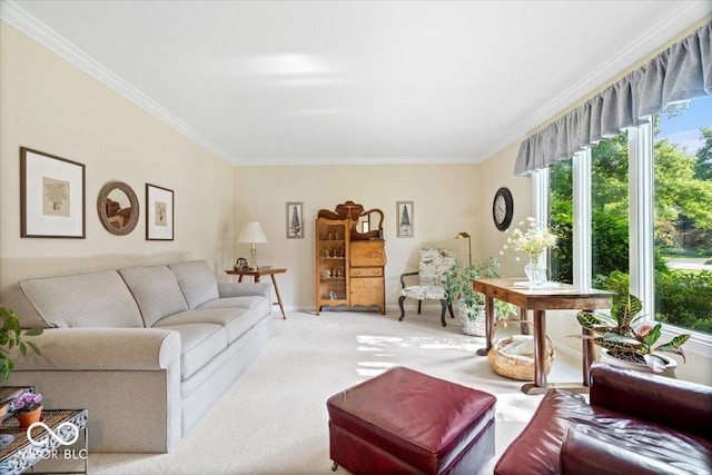54 Horseshoe Ln, Carmel, IN 46033 - living room featuring ornamental molding, healthy amount of natural light, and carpet