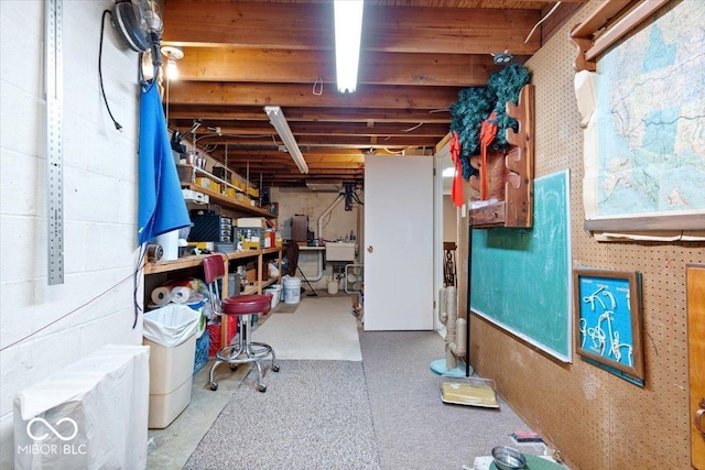 54 Horseshoe Ln, Carmel, IN 46033 - unfinished basement with a sink and a workshop area