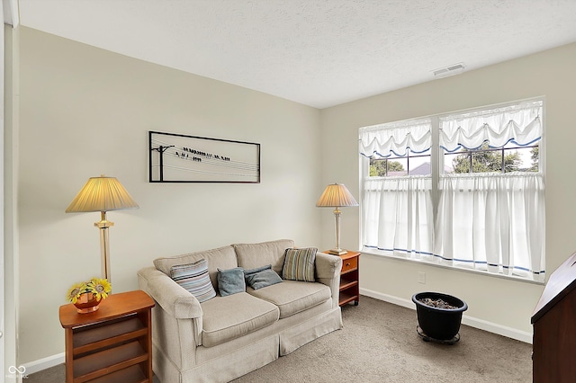 8038 Sydney Ln, Avon, IN 46123 - carpeted living area featuring baseboards and a textured ceiling