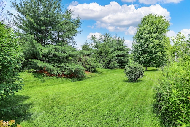 8038 Sydney Ln, Avon, IN 46123 - view of grassy yard