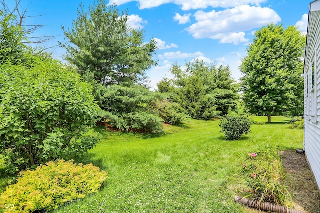 8038 Sydney Ln, Avon, IN 46123 - view of grassy yard