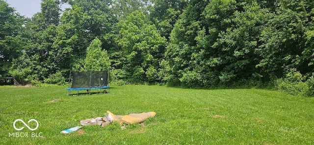 1849 Forsythe Ln, Spencer, IN 47460 - view of grassy yard featuring a trampoline