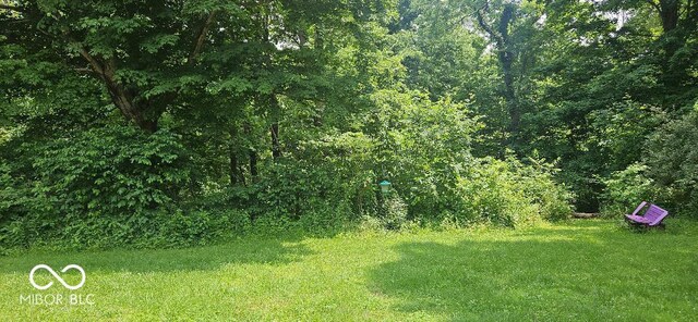 1849 Forsythe Ln, Spencer, IN 47460 - view of yard