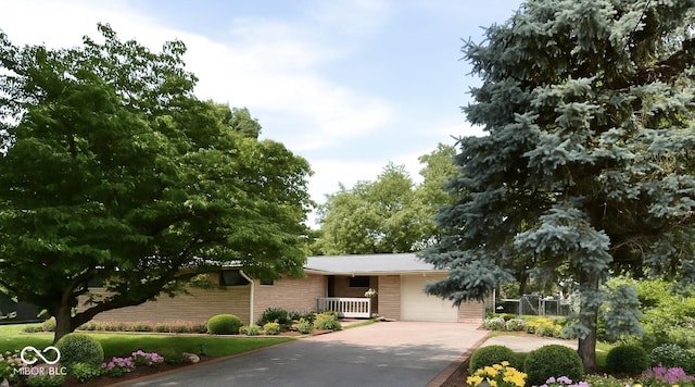 7150 Combs Rd, Indianapolis, IN 46237 - view of front of home with concrete driveway