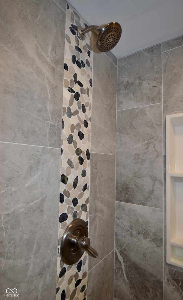 7150 Combs Rd, Indianapolis, IN 46237 - bathroom view of a tile shower