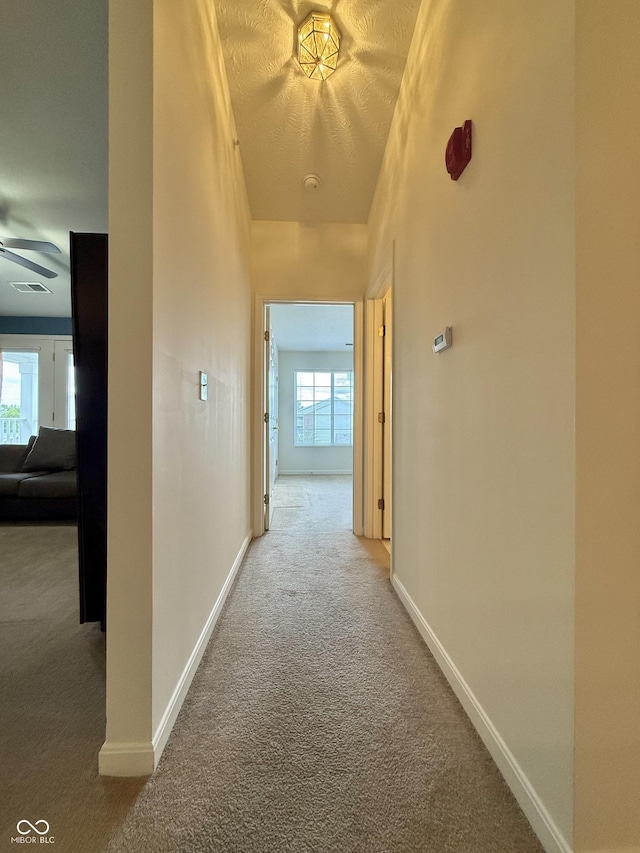 5019 Amber Creek Pl, Indianapolis, IN 46237 - corridor featuring carpet flooring and healthy amount of natural light