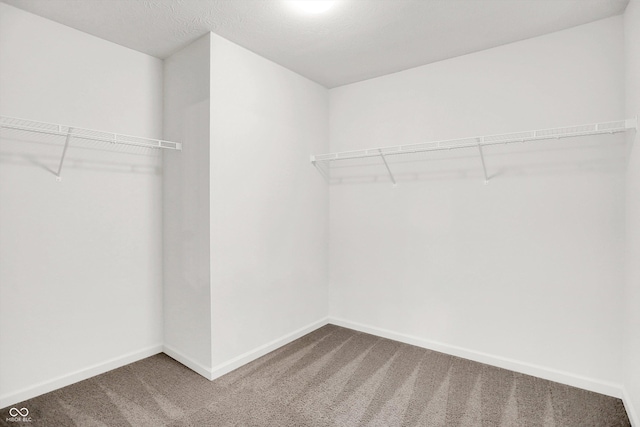 2074 Tompkins Dr, Westfield, IN 46074 - spacious closet featuring light colored carpet