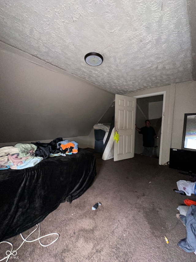 1129 N Pershing Ave, Indianapolis, IN 46222 - additional living space featuring a textured ceiling, lofted ceiling, and carpet floors