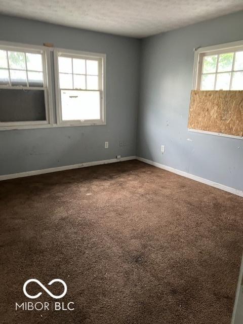 3701 E Vermont St, Indianapolis, IN 46201 - spare room featuring plenty of natural light, carpet floors, and a textured ceiling