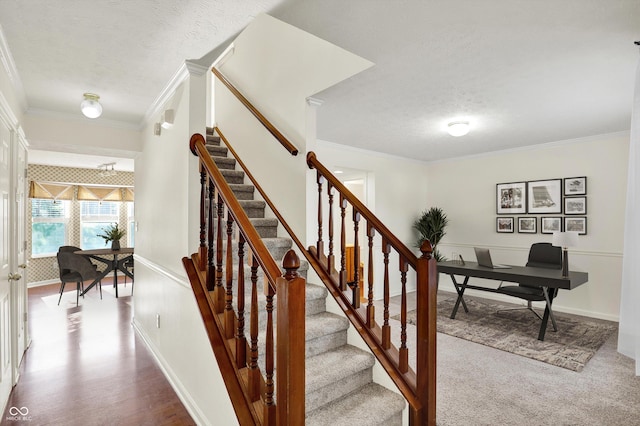 11961 Driftstone Dr, Fishers, IN 46037 - staircase featuring ornamental molding and a textured ceiling