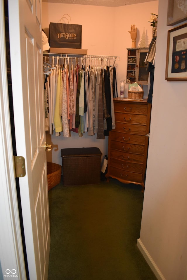7357 Lake Lakota Dr, Indianapolis, IN 46217 - spacious closet with carpet flooring