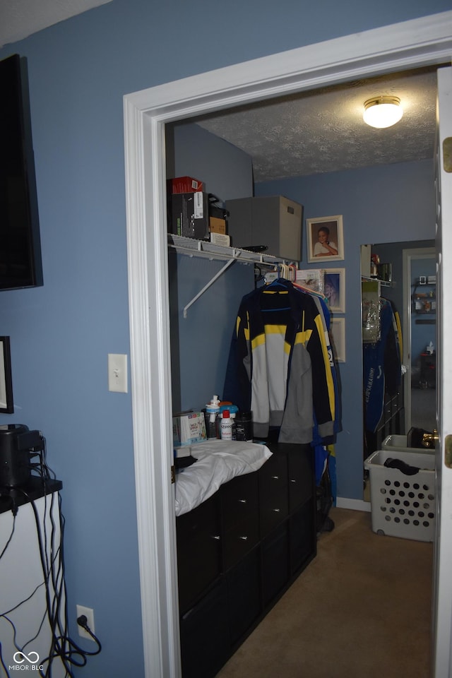 7357 Lake Lakota Dr, Indianapolis, IN 46217 - spacious closet with carpet floors