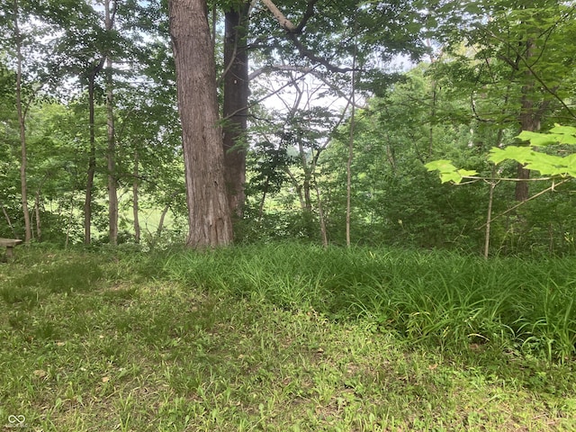 11045 Westfield Blvd, Carmel, IN 46280 - photo 1