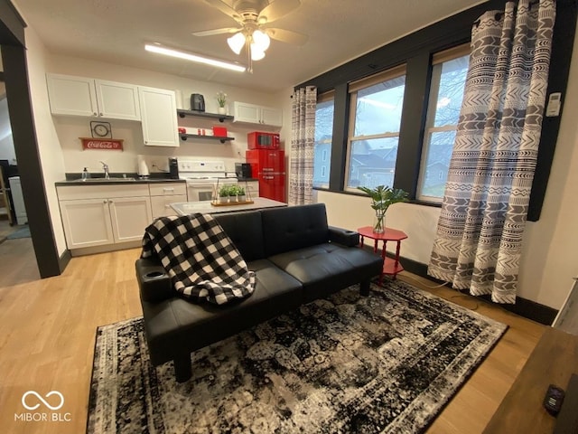 251 N St, Danville, IN 46122 - living room with light wood finished floors and ceiling fan
