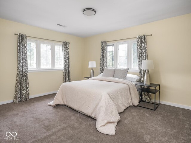 1207 Pickwick Pl, Indianapolis, IN 46208 - photo 55