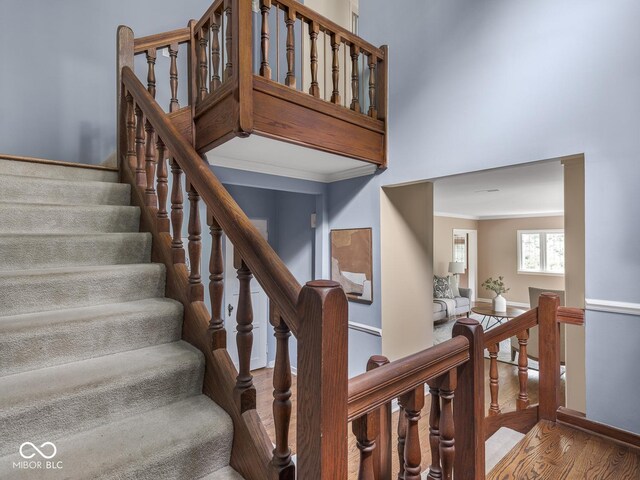 1207 Pickwick Pl, Indianapolis, IN 46208 - photo 8