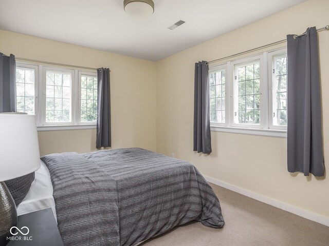 1207 Pickwick Pl, Indianapolis, IN 46208 - photo 52