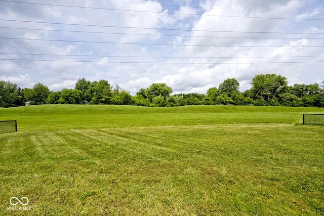 11320 Lynchburg Way, Indianapolis, IN 46229 - view of green lawn