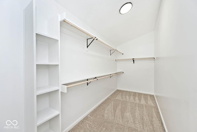 11320 Lynchburg Way, Indianapolis, IN 46229 - spacious closet with carpet floors and lofted ceiling